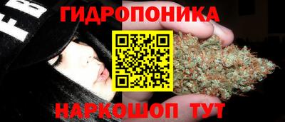 2c-b Будённовск