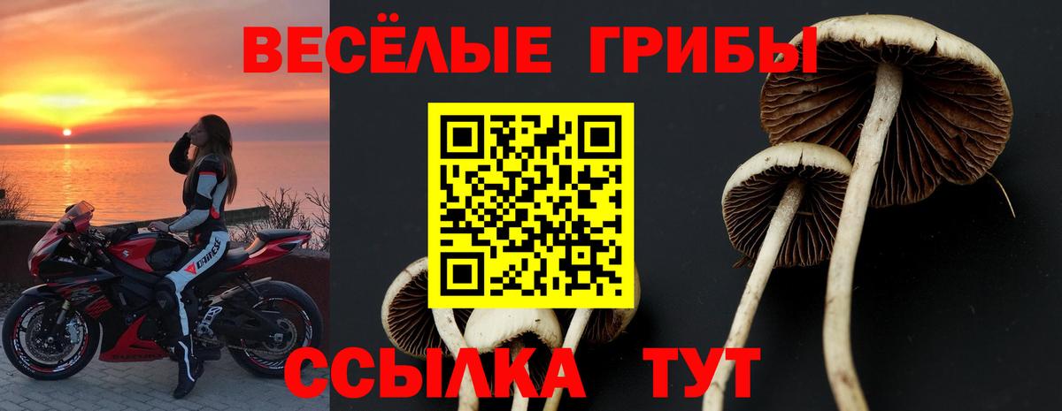Отрадное  Псилоцибиновые грибы Psilocybine cubensis  Вход с VPN 