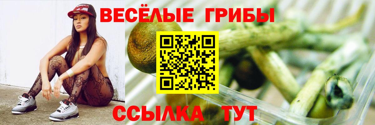 Галлюциногенные грибы GOLDEN TEACHER Отрадное